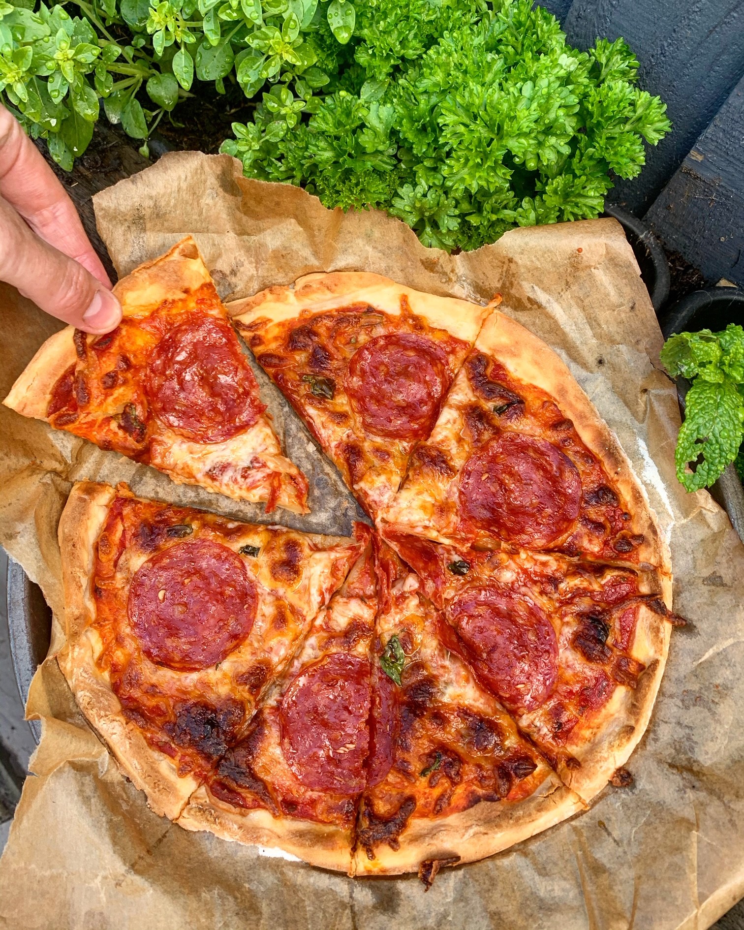 Homemade Low FODMAP Pizza Low Fodmap Inspiration